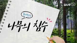 [ 나무의사 ] 나무가 침수되었을 때 어떤 반응을 보이나요? / 참나무교육