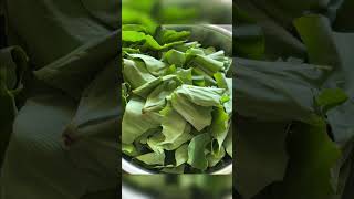 Taro leaves