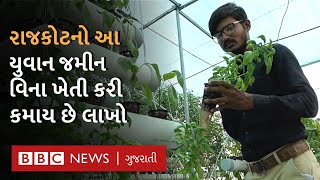 Rajkot ના યુવાન શિક્ષકની નોકરી છોડી બન્યા ખેડૂત, hydroponic farming થી કમાય છે લાખો રૂપિયા