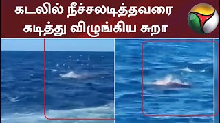 கடலில் நீச்சலடித்தவரை கடித்து விழுங்கிய சுறா