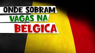 Emprego na Europa: sobram vagas na Bélgica nessas áreas!