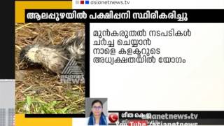 Again Bird flu reported in Alappuzha | ആലപ്പുഴയില്‍ വീണ്ടും പക്ഷിപ്പനി സ്ഥിതീകരിച്ചു