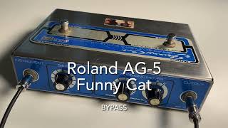 '70s Roland AG-5 Funny Cat