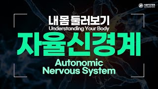 Autonomic Nervous System [Understanding Your Body]