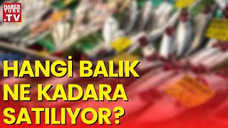 Tezgahlarda hangi balıklar var?