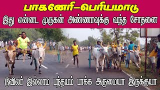 ETSS reckla race - பாகனேரி (பெரியமாடு-19.12.2021) bulls race