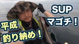 湘南江の島 SUPボトムワインドで念願のマゴチ！【平成釣り納め】