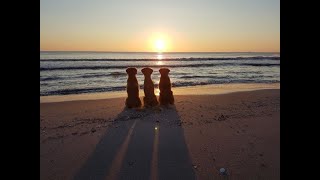 Dünenvilla auf Rügen, Urlaub mit dem Hund, nur 200m bis zum Hundestrand