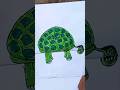 Easy paper turtle card idea for kids| kids paper card step by step #viralshorts #papercard #craft