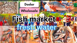 🐠🦈Dadar fish Wholesale Market biggest wholesale only Meetha Pani face maximum 5 KG purchase