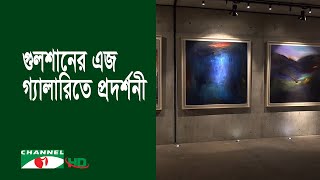 চিত্রশিল্পী টোকনের একক চিত্র প্রদর্শনী চলছে