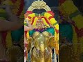 padmavathi