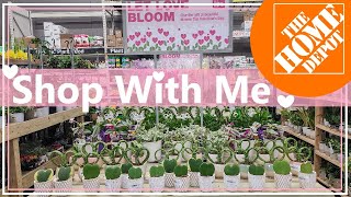 Home Depot Shop With Me Common Plants #new #plants #shopping #homedepot #shopwithme #houseplants