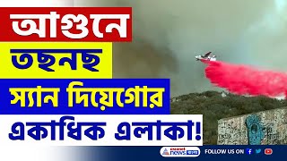 এবার আগুনের গ্রাসে অন্য এলাকা! পুড়ছে স্যান দিয়েগো কাউন্টির একাধিক অংশ San Diego fire | Wildfires