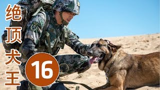 绝顶犬王 第16集 | 超级好看中国刑事剧