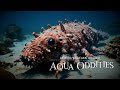 AI 60s Film : Aqua Oddities | #Haiper #Suno #Udio