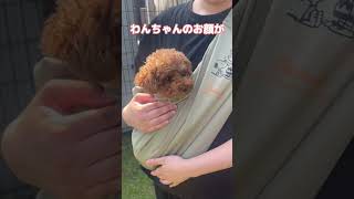 【スヌーピーデザイン】ペット用スリング！！かわいいペットをだっこしてお出かけ♪