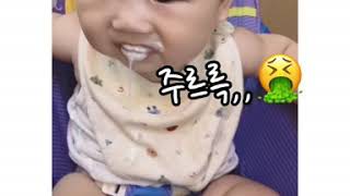 [육아] 6개월아기! 첫 요플레 먹이기