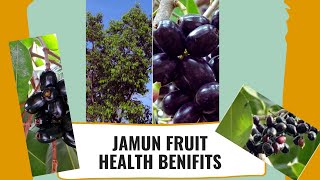 అల్ల నేరేడు పండ్లు | Jamun Fruit Health Benefits | Health Tips | Navayuva Media