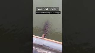 crocodile in water #Nanded #water bridege #Rain #waternanded #Nanded #star