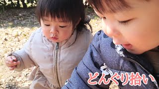 【2歳2か月と１歳１か月】大阪城で兄にドングリをもらい頭を下げありがとう【年子育児】