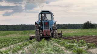 Картопля 2025: чи буде золото? Показуємо як працюємо зараз
