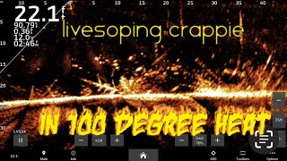 Livescoping Tips for Summertime Crappie in 100 degree heat and 90 degree water temps! 🥵