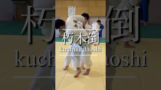 judo technic/kuchiki daoshi/ 柔道乱取！2025年の全日本選手権ルールに向けて足取練習！朽木倒でぶん投げ一本！（国際ルールは反則）#judo #judoclub #講道館