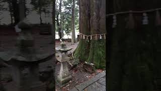 熊野市　飛鳥神社