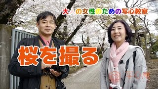 第5回「桜を撮る」～大人の女性のための写心教室