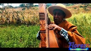 MÁXIMO FLORES - AMA MAMALLAY HUACCALLANQUICHU