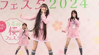 ちぇガッツ！　上野公園　桜フェスタ2024　３月23日