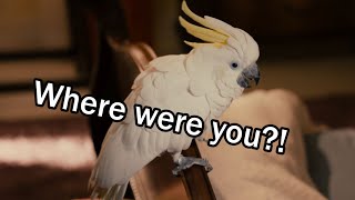 Jack And Jill | Poopsie - "Where Were You?!" | 2011