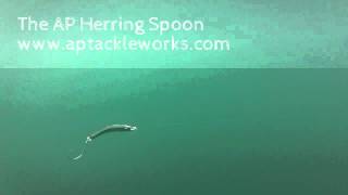 AP Herring Spoon in slow motion