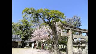 菱木神社