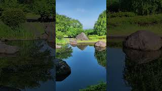 Japan, morning walk, 朝の散歩 #travel