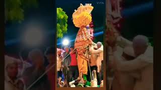 Mudgal Muharram video Savari moment#viral #shorts #trending