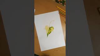 Easy leaf drawing realistic | how to draw a leaf #shorts #drawing #howto #art 🔥🔥