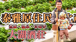 [嬰兒推車景點推薦] 苗栗煮蛋泡腳景點:泰雅文化產業園區 草莓季景點推薦:大湖酒莊