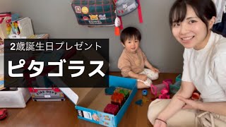 【2歳誕生日/プレゼント編】ピタゴラスで遊んでみたら楽しすぎた