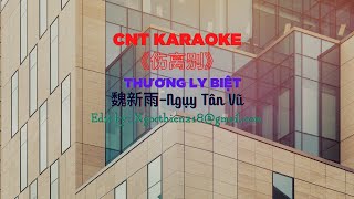 [CNT KARAOKE] 《伤离别 - 魏新雨》THƯƠNG LY BIỆT - Wei Xinyu-  Lyric 伴奏  动态歌词