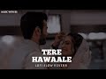Tere hawaale | lofi song | slow reverb | bollywood song | mind relax | music with bs