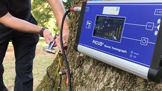 Picus 3 Demonstration