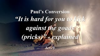 Paul's Conversion It is Hard for You to Kick against the Goads - explained!