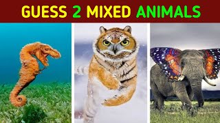 Guess 2 animals mixed in 1 picture puzzle | hybrid animals | interesting challenge