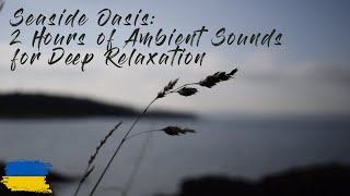 Seaside Oasis: 2 Hours of Ambient Sounds for Deep Relaxation