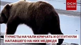 Туристы начали кричать и отпугнули напавшего на них медведя