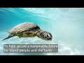 introducing digital earth pacific