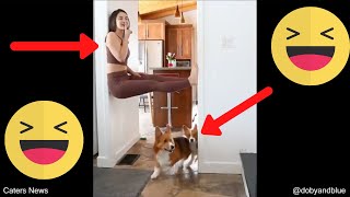 Pranking My Dogs - Funny- Must See