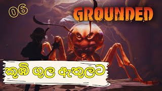 Grounded | GAMEPLAY 06 | කූඹි ගුල ඇතුලට